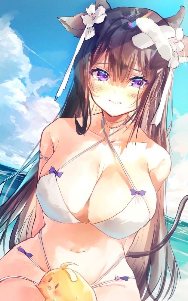 This is a pixiv picture whose title is 樫野.