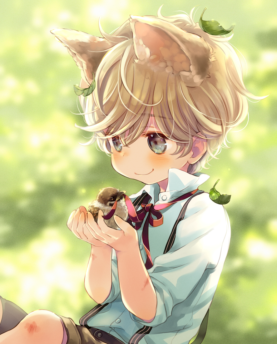 This is a pixiv picture whose title is My little bird.