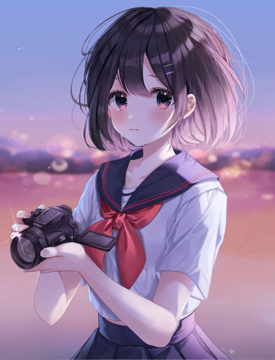 This is a pixiv picture whose title is 「…忘れないで」.