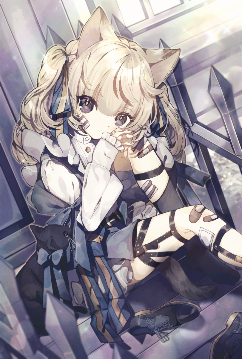 This is a pixiv picture whose title is neko.