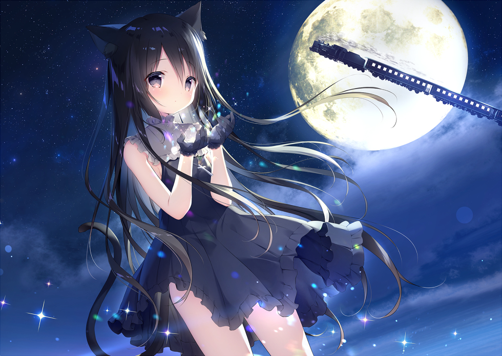 This is a pixiv picture whose title is 星空鉄道とシロの旅.