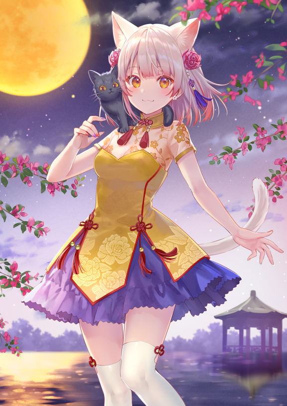 This is a pixiv picture whose title is 夜猫散歩.