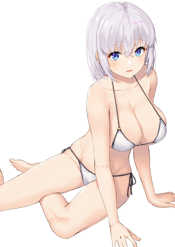 This is a pixiv picture whose title is 水着のお姉さん.