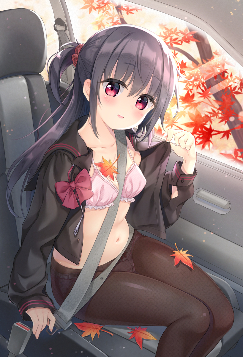 This is a pixiv picture whose title is 紅葉狩りドライブJC.