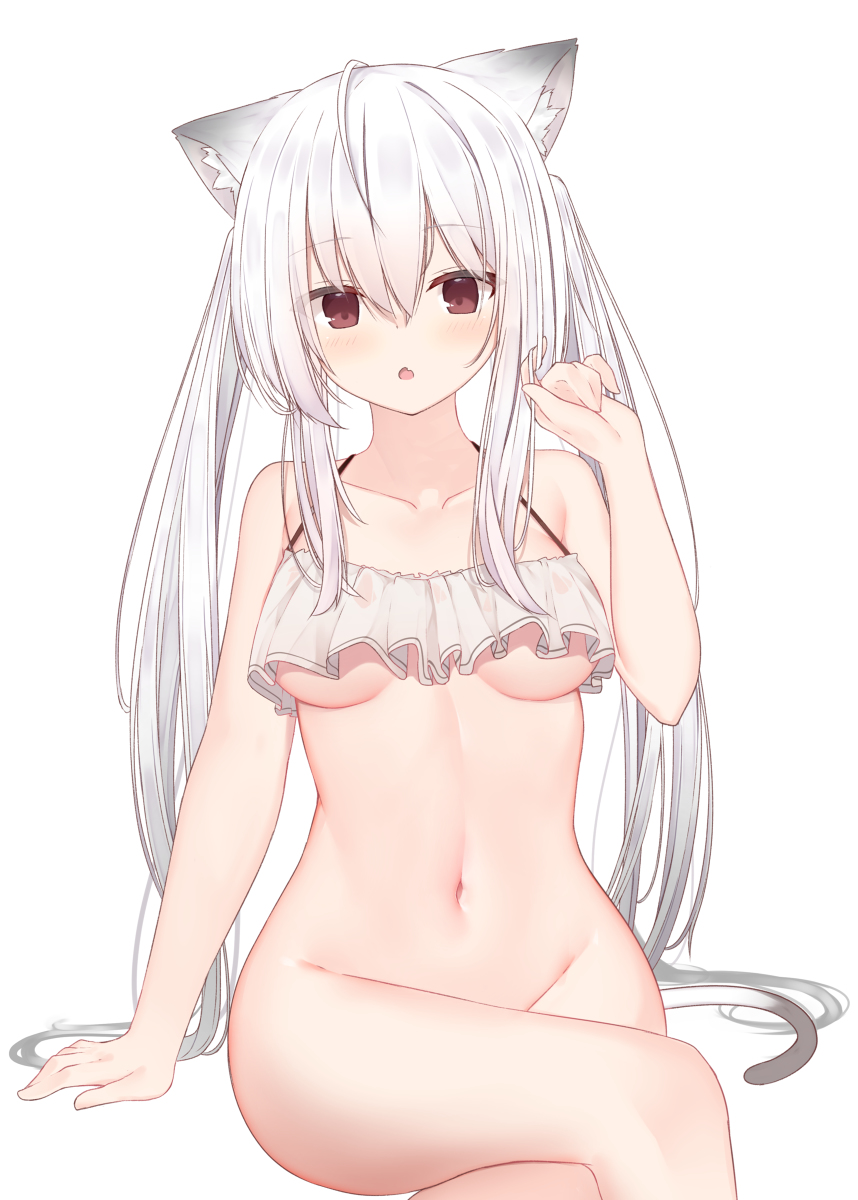 This is a pixiv picture whose title is 白髪けもみみっこ.