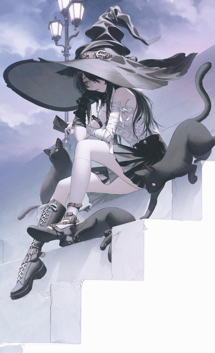 This is a pixiv picture whose title is cat.