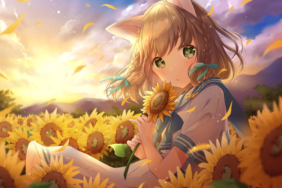 This is a pixiv picture whose title is 夏の終わりに、ひまわりときみと.