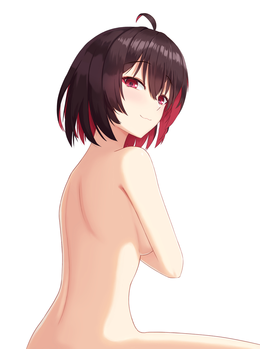 This is a pixiv picture whose title is seele.