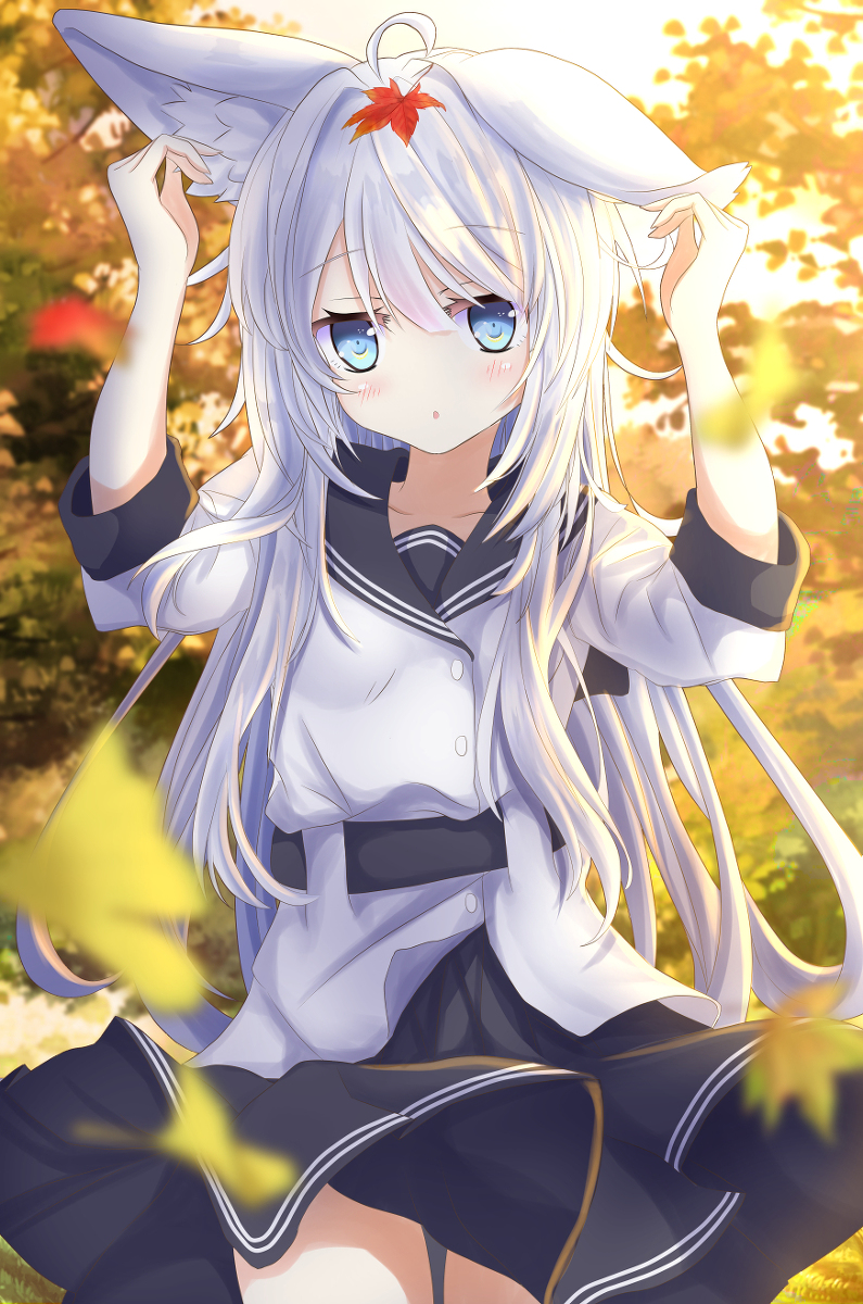 This is a pixiv picture whose title is 秋ヴェルちゃん.