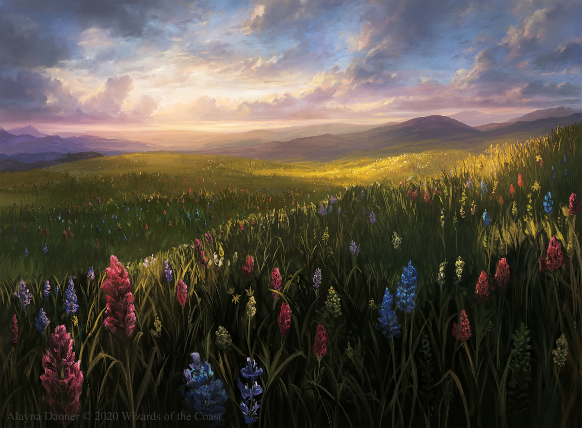 This is a pixiv picture whose title is Thriving Heath from Magic:tG.