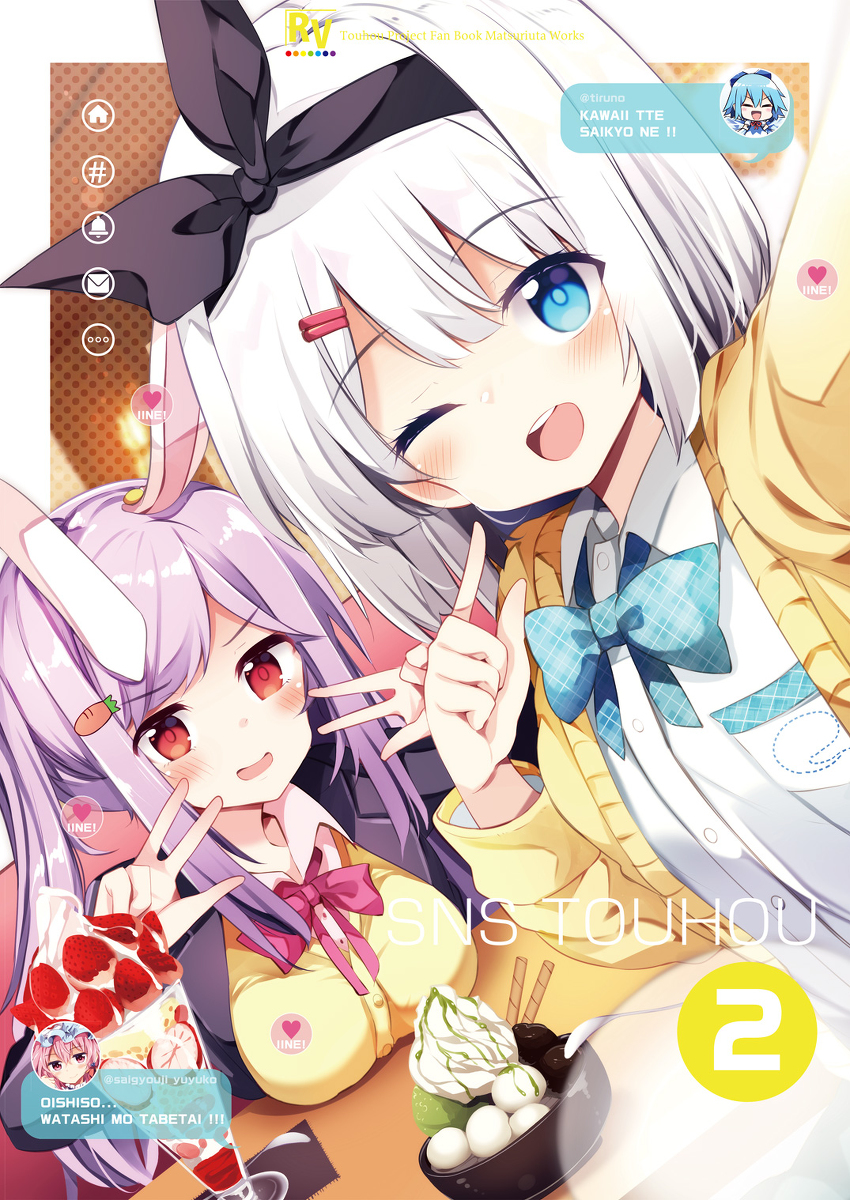 This is a pixiv picture whose title is 【新刊】SNS TOUHOU 2【紅楼夢】.