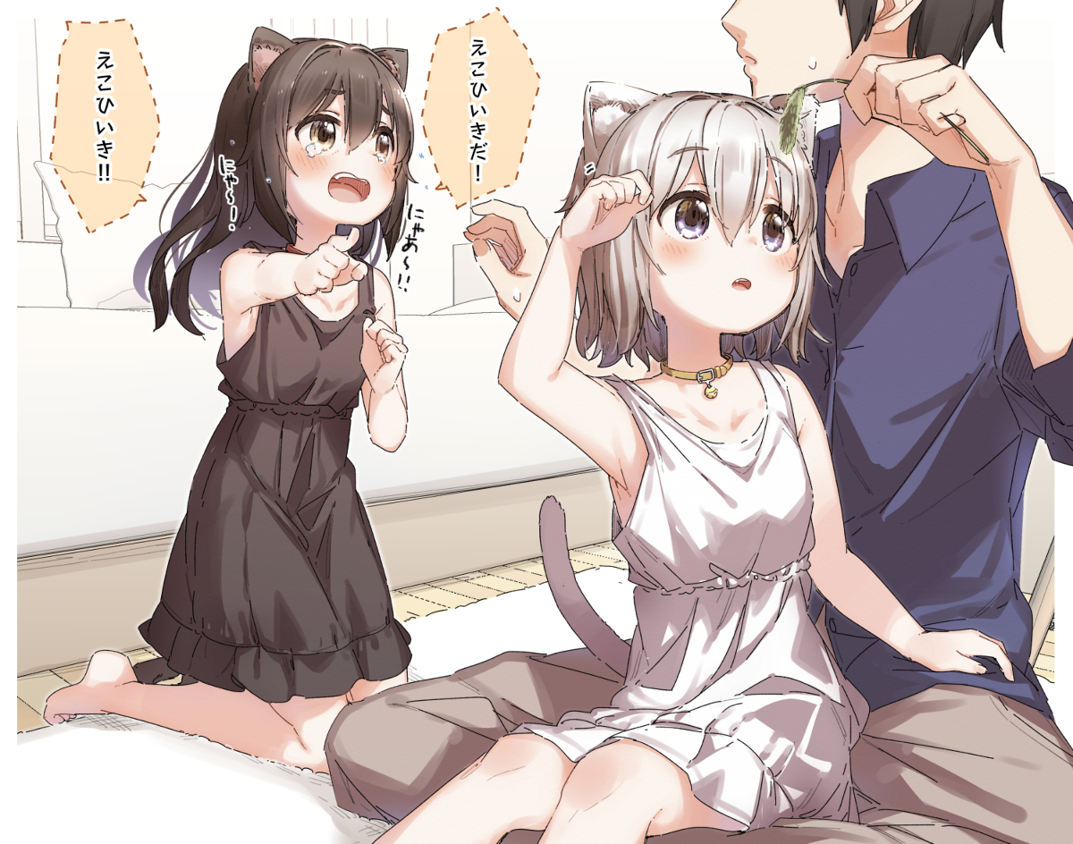 This is a pixiv picture whose title is ぼくの家に住む白黒ねこちゃん.
