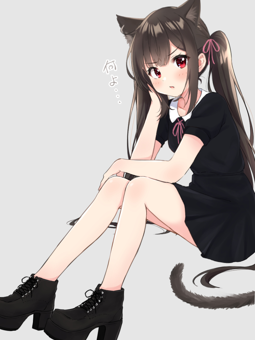 This is a pixiv picture whose title is ツンデレ猫ちゃん.