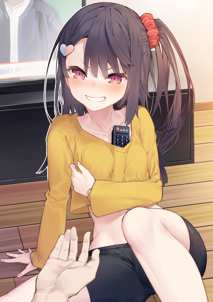This is a pixiv picture whose title is 絶対不可侵チャンネル権？！.