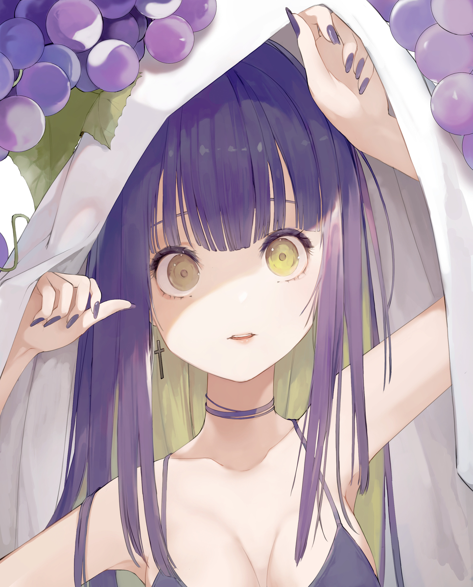 This is a pixiv picture whose title is ブドウ.