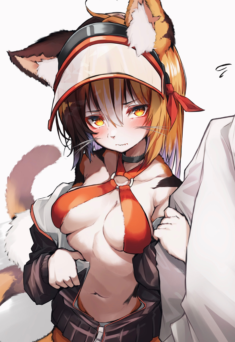 This is a pixiv picture whose title is 三毛ケモ.