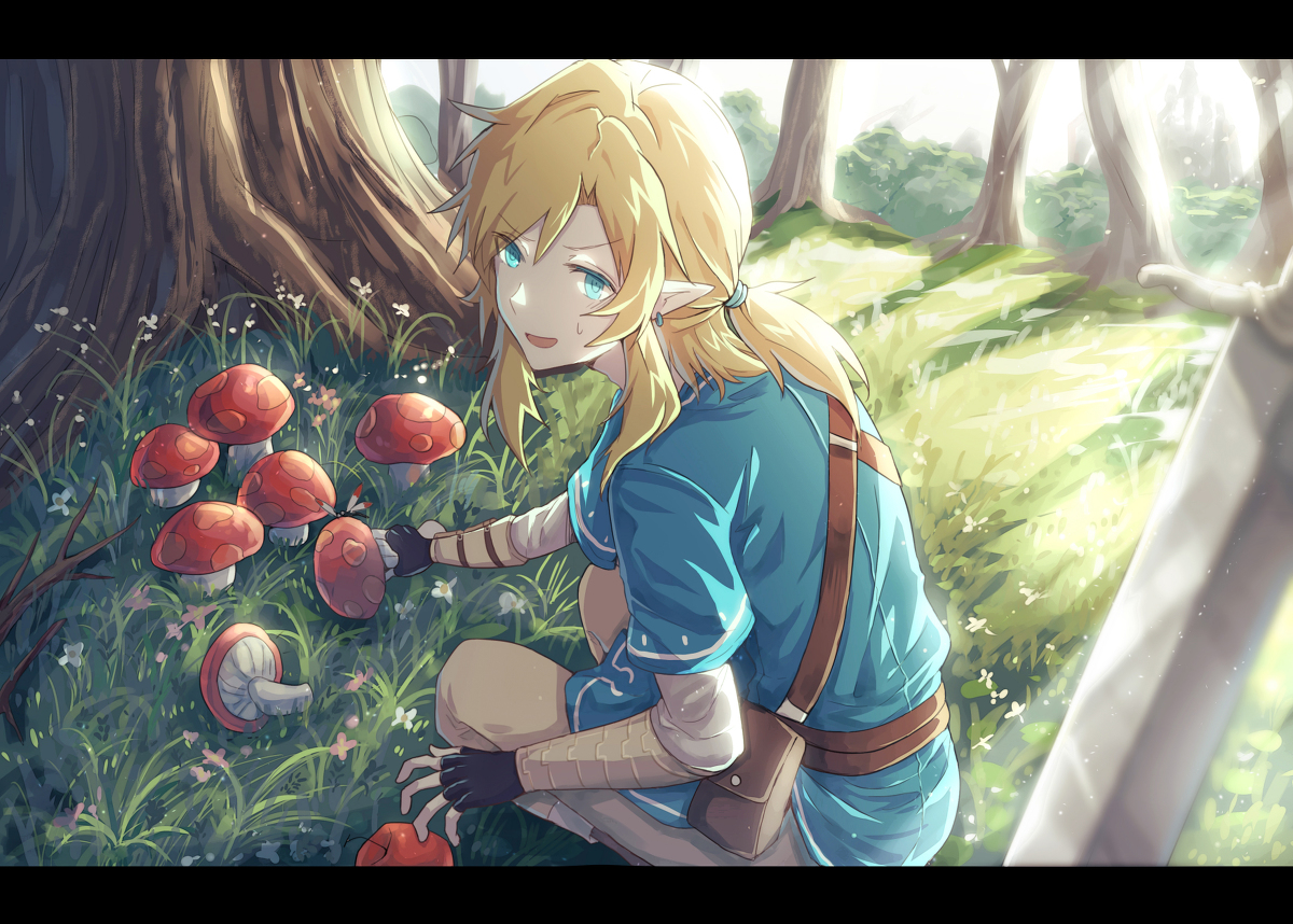 This is a pixiv picture whose title is link.