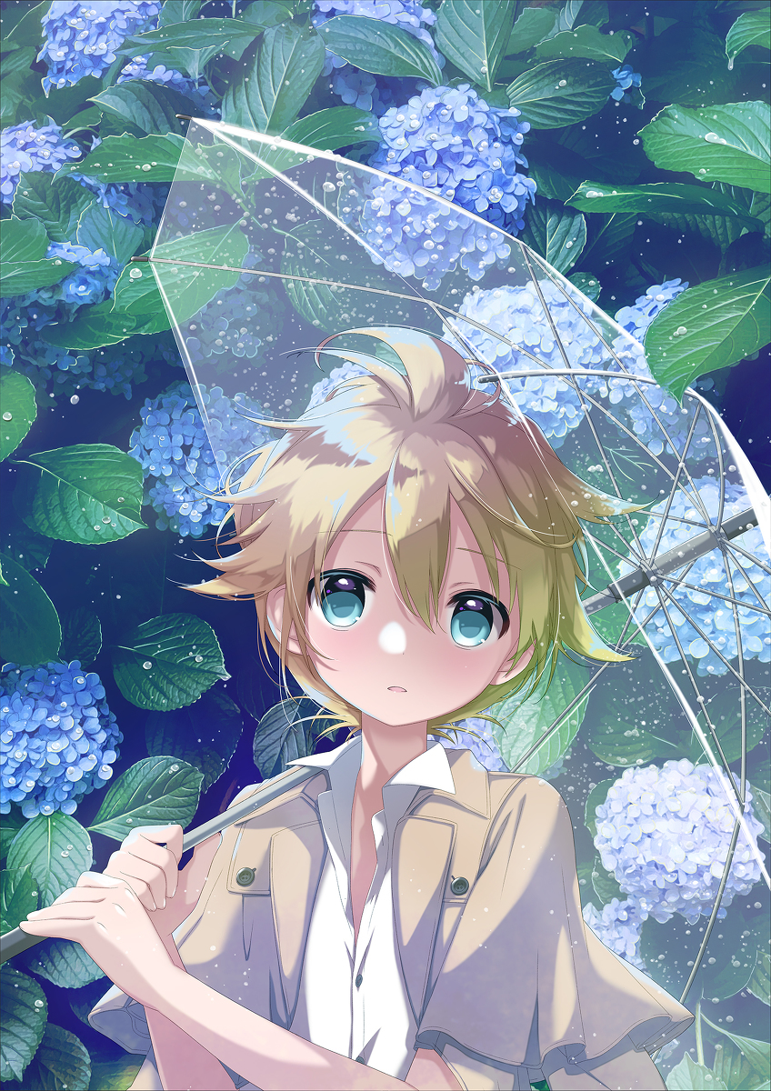 This is a pixiv picture whose title is 紫陽花.