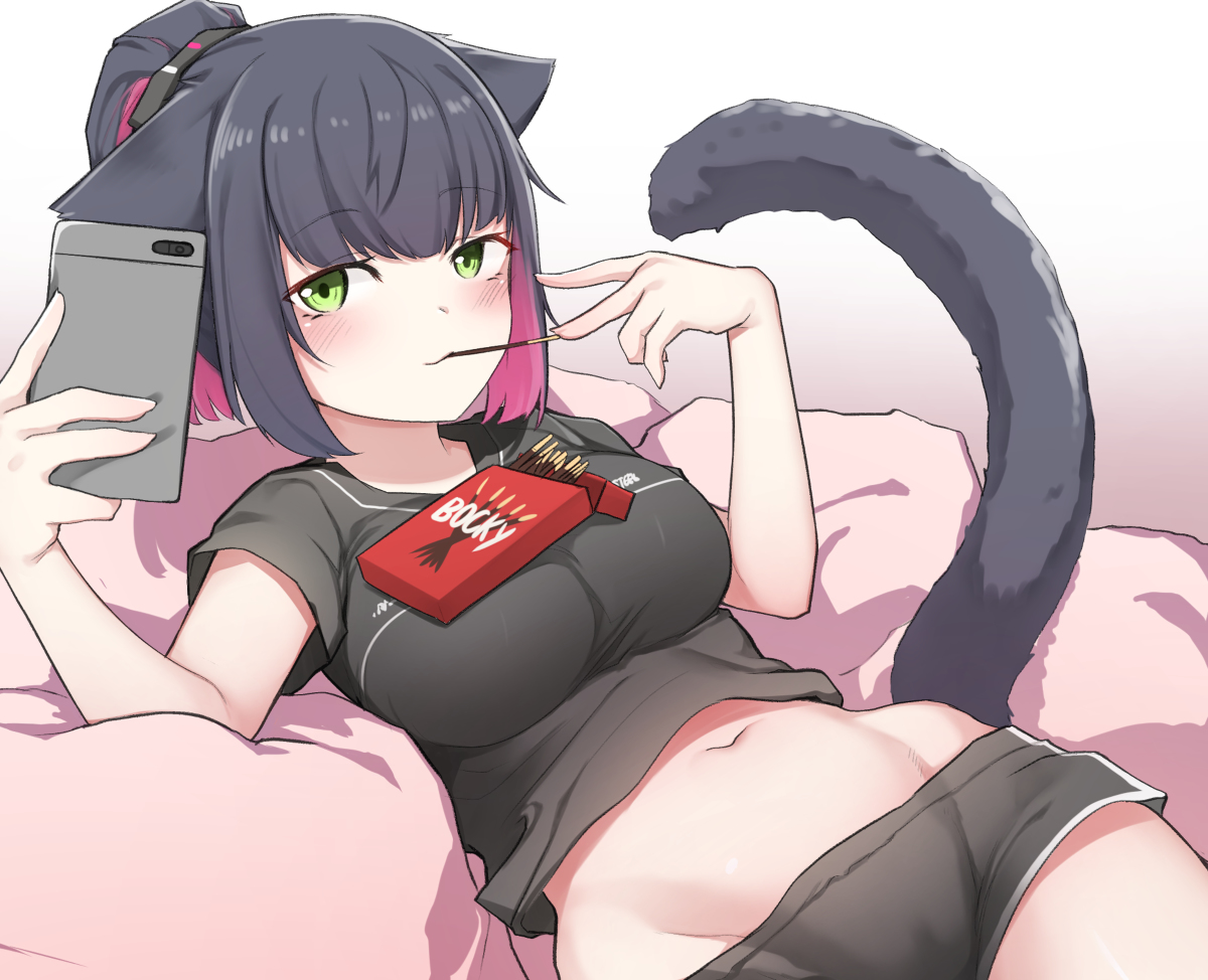 This is a pixiv picture whose title is Pocky.
