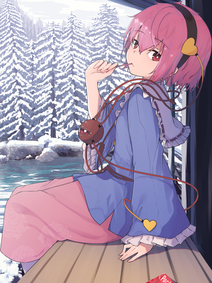 This is a pixiv picture whose title is ぽっきー.