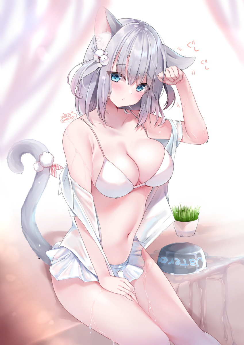 This is a pixiv picture whose title is 濡れるの平気なタイプの猫さん.