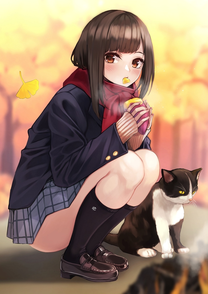 This is a pixiv picture whose title is 焼き芋JKちゃん.