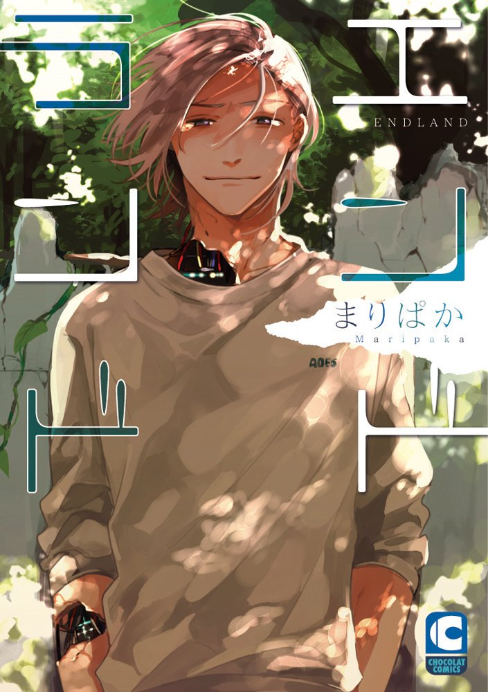 This is a pixiv picture whose title is エンドランド.