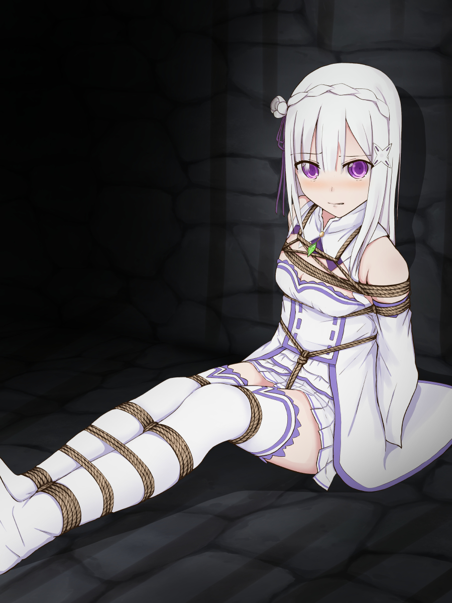 This is a pixiv picture whose title is エミリア.