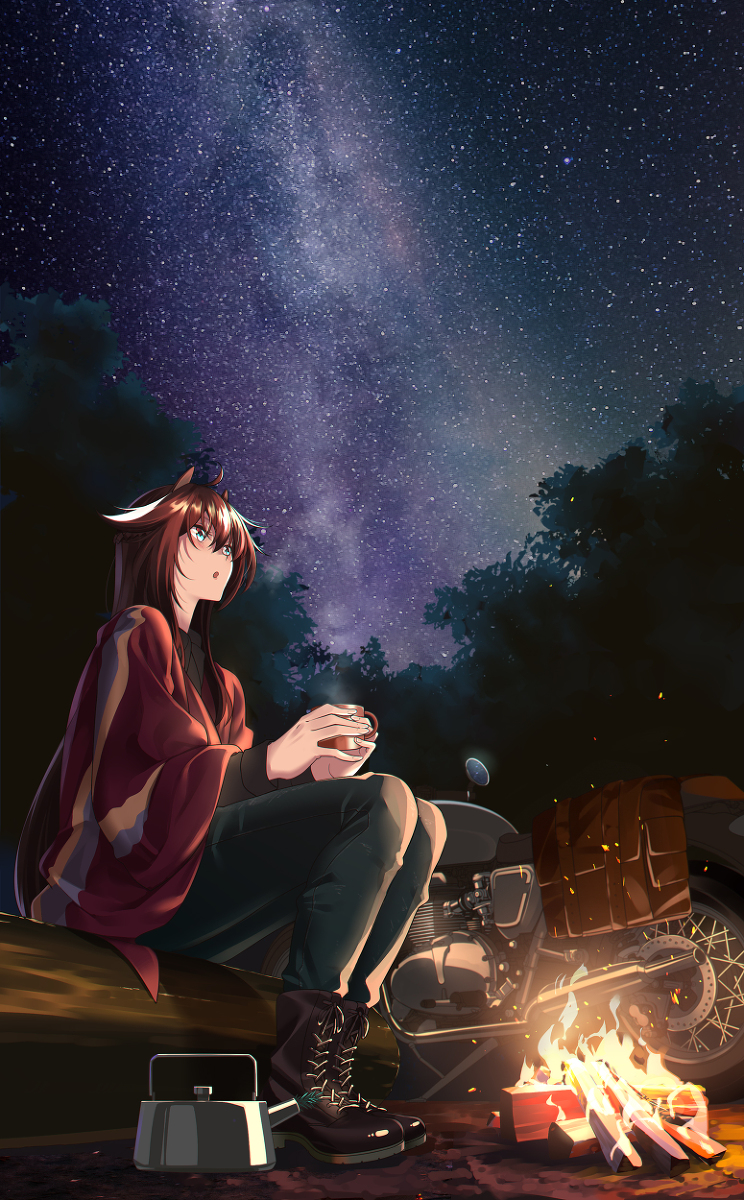 This is a pixiv picture whose title is Meteor.