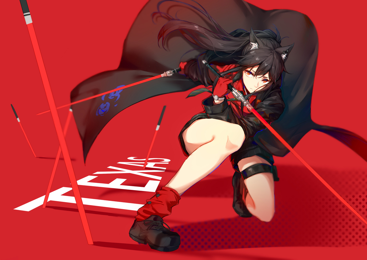 This is a pixiv picture whose title is TEXAS.