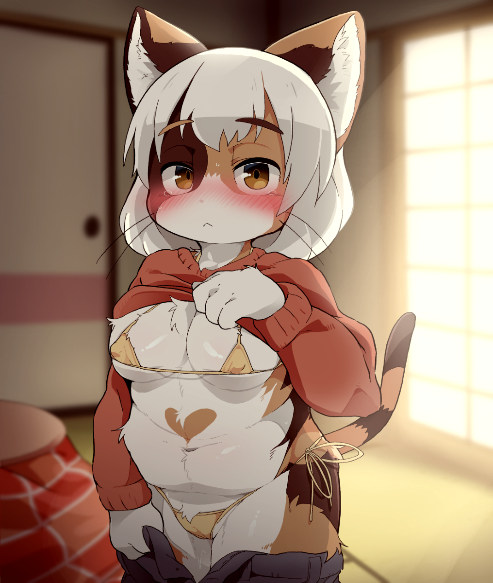This is a pixiv picture whose title is 大きいミケネコさん.