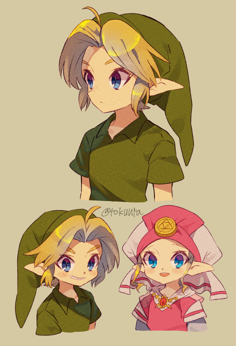 This is a pixiv picture whose title is ゼルダ詰め11.