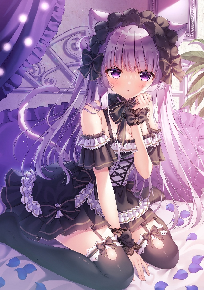 This is a pixiv picture whose title is ゴスロリ猫ちゃん.
