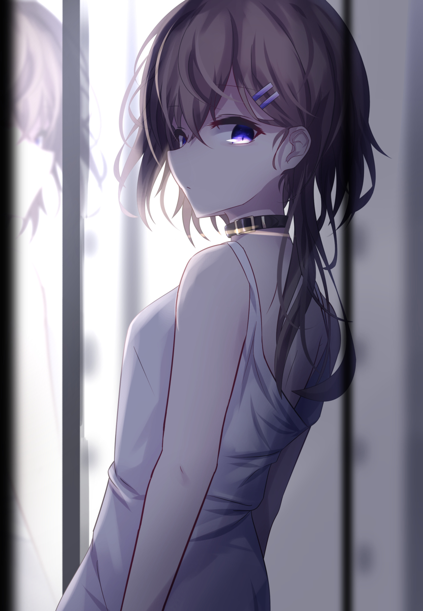 This is a pixiv picture whose title is 首輪付き.