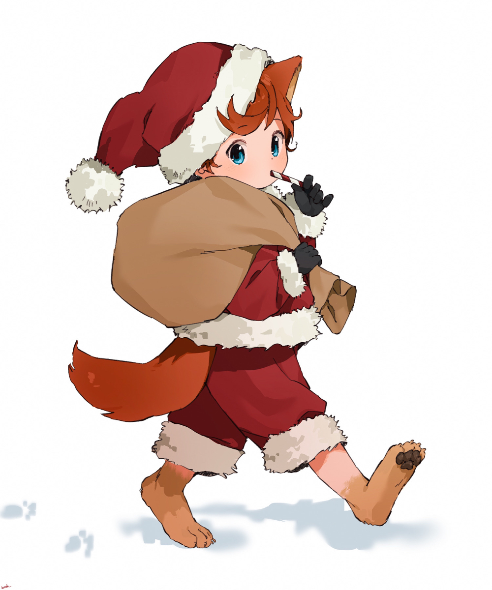 This is a pixiv picture whose title is A very floofy Santa!.