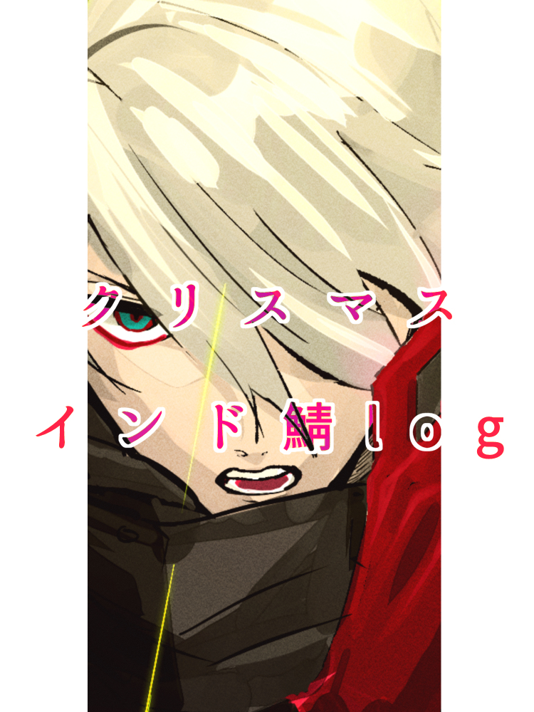 This is a pixiv picture whose title is 【Fate/GO】クリスマスインド鯖log.