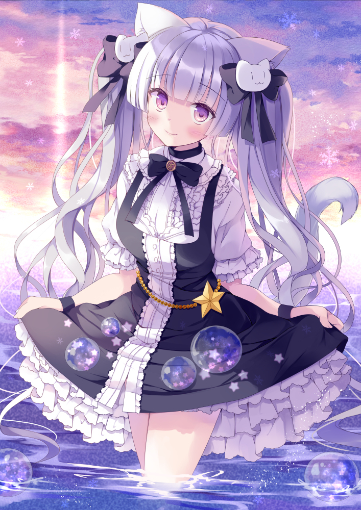 This is a pixiv picture whose title is 猫ときらきらな星.