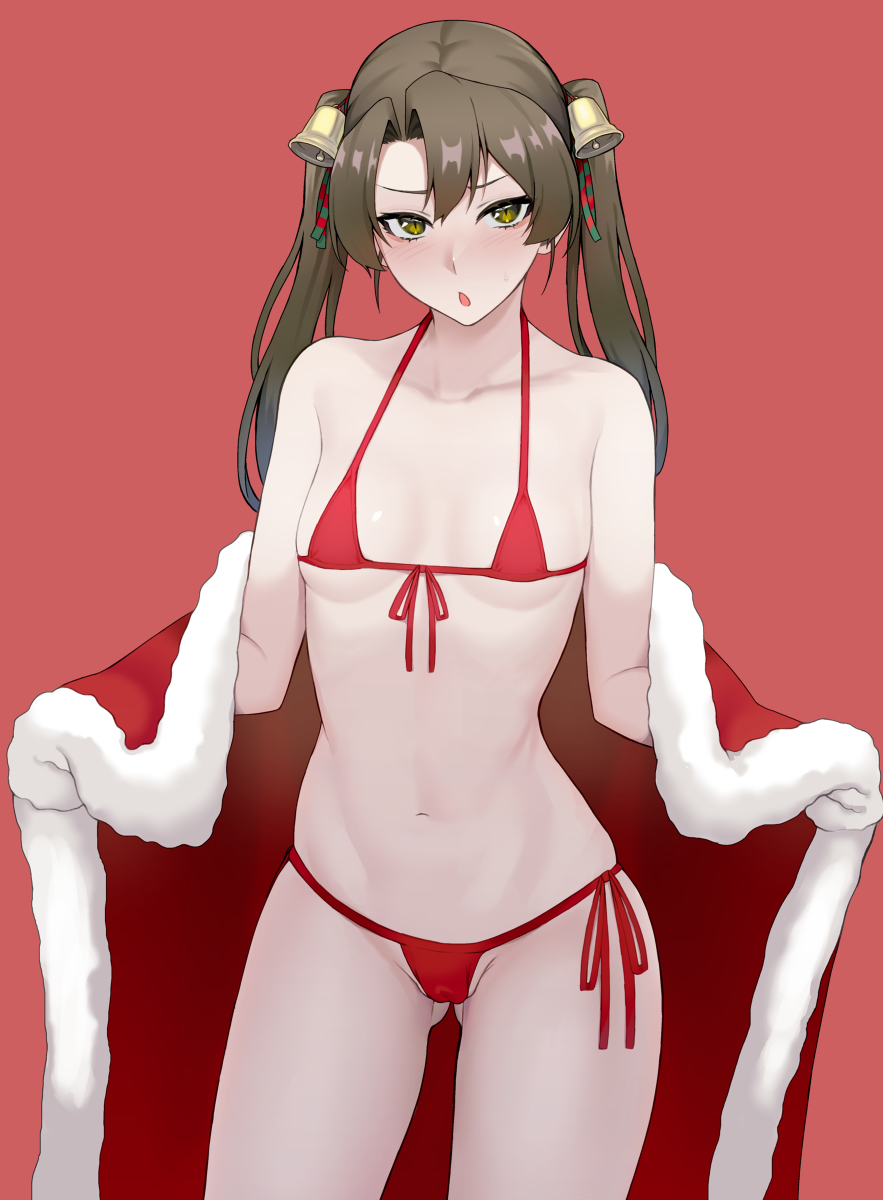 This is a pixiv picture whose title is クリスマス瑞鶴.