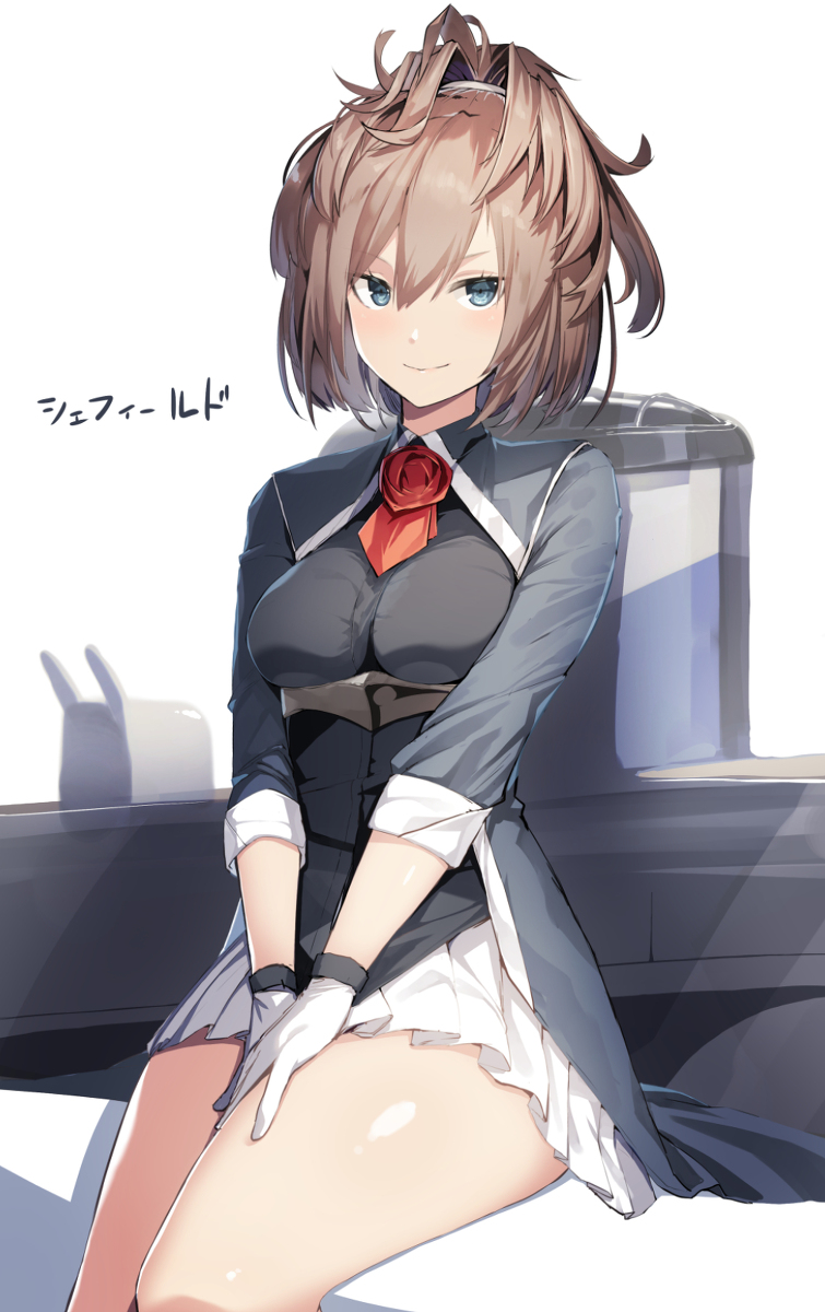 This is a pixiv picture whose title is 【艦これ】シェフィールド.