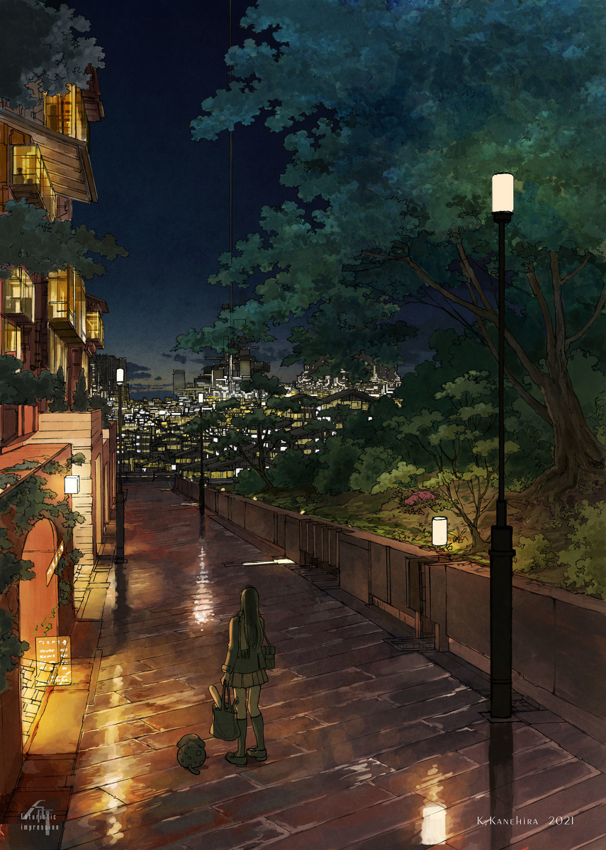 This is a pixiv picture whose title is 夜の坂道.
