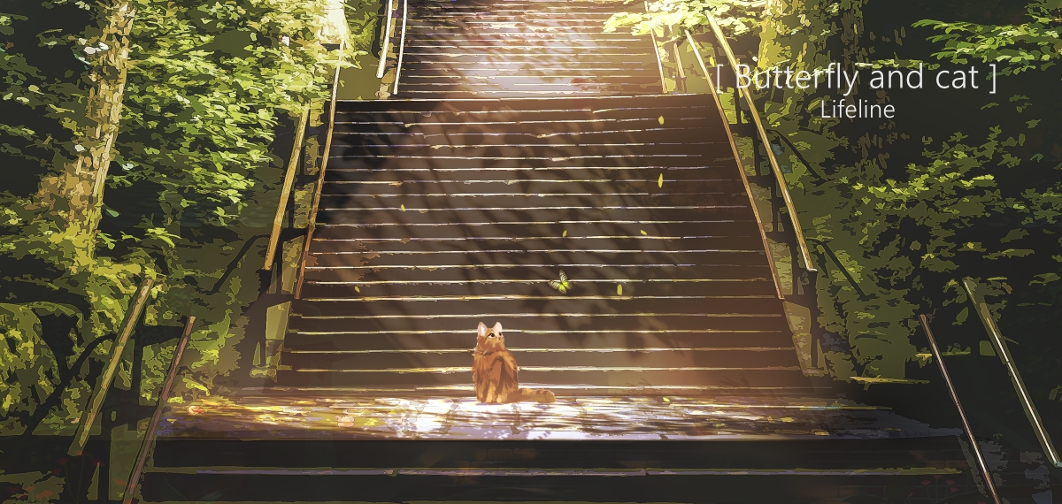 This is a pixiv picture whose title is 猫与蝶.