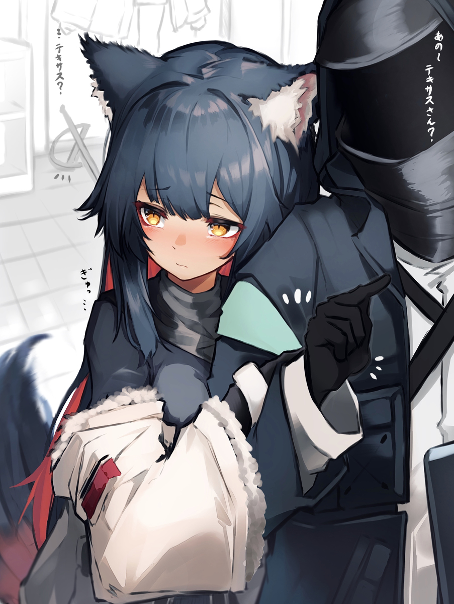 This is a pixiv picture whose title is テキサス.