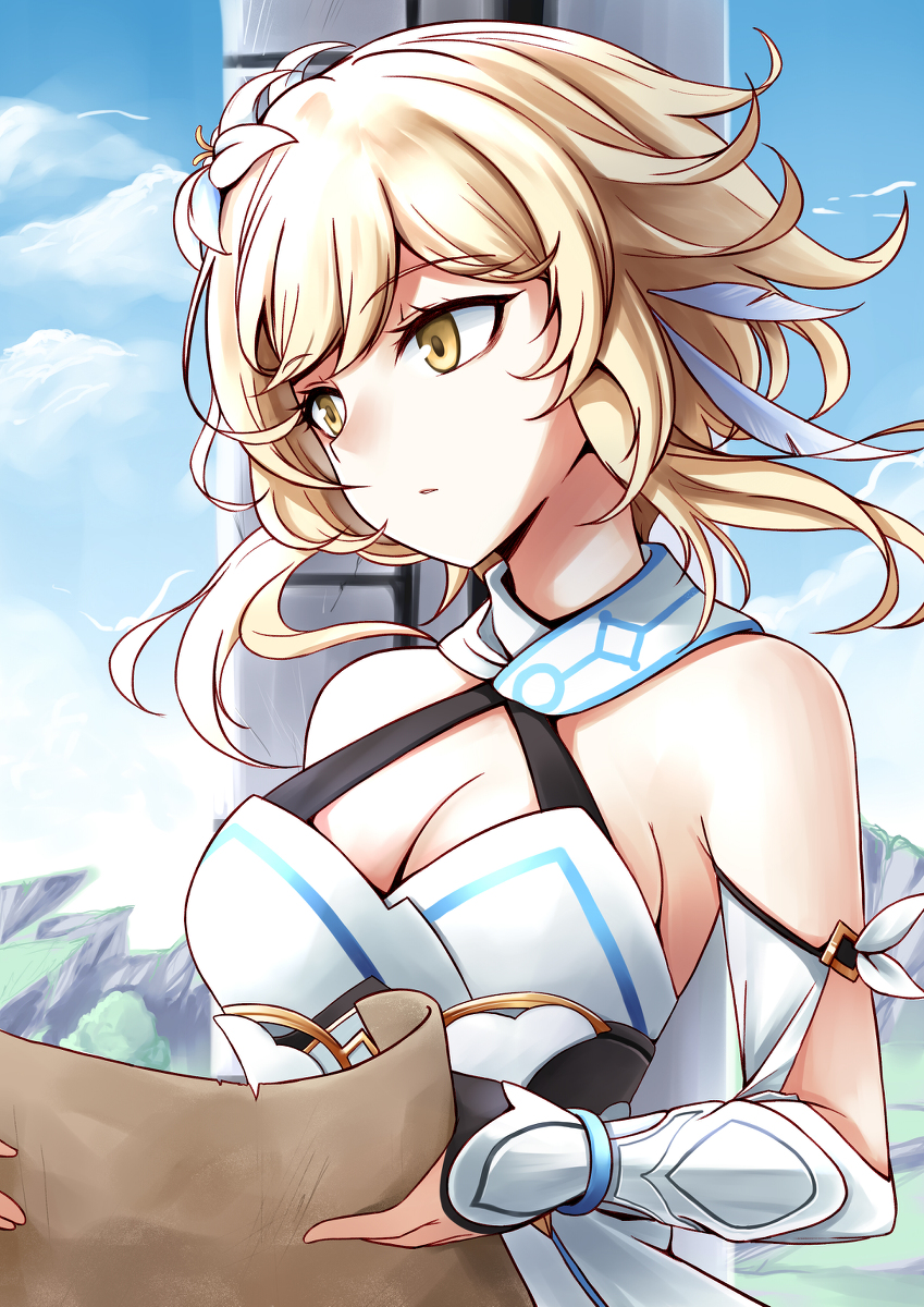 This is a pixiv picture whose title is 여행자.