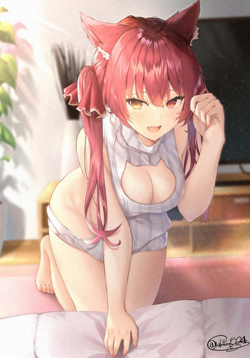 This is a pixiv picture whose title is 猫耳船長.