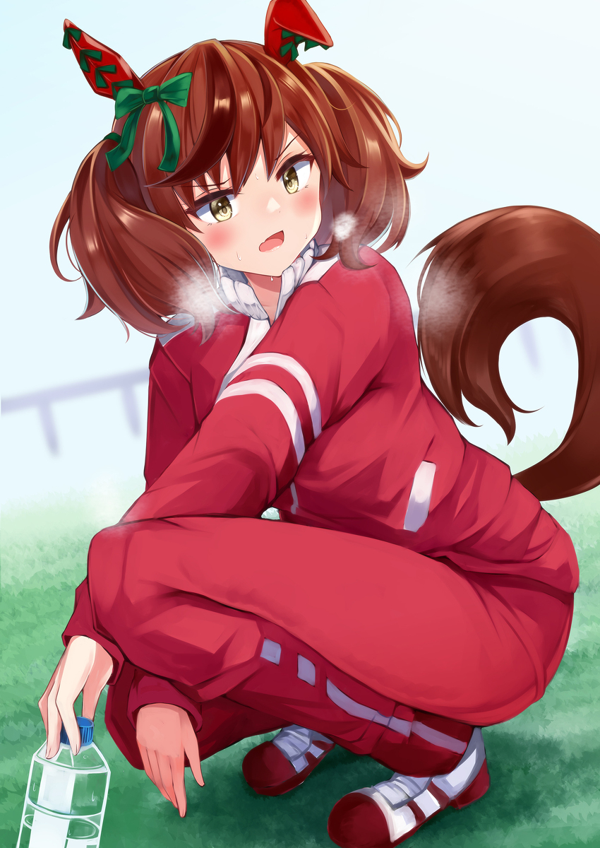 This is a pixiv picture whose title is ナイスネイチャ.