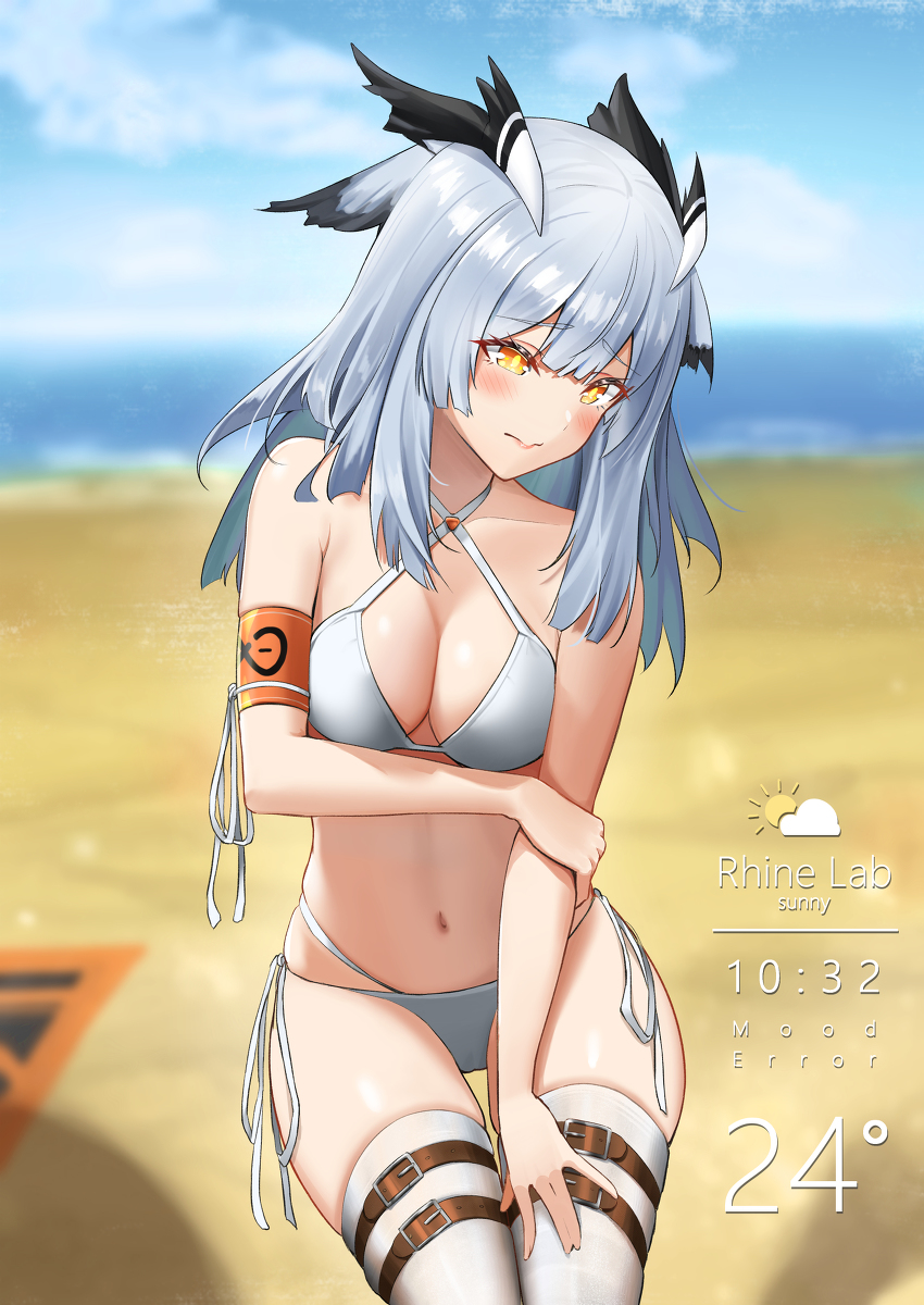 This is a pixiv picture whose title is 水着フィリオプシス.