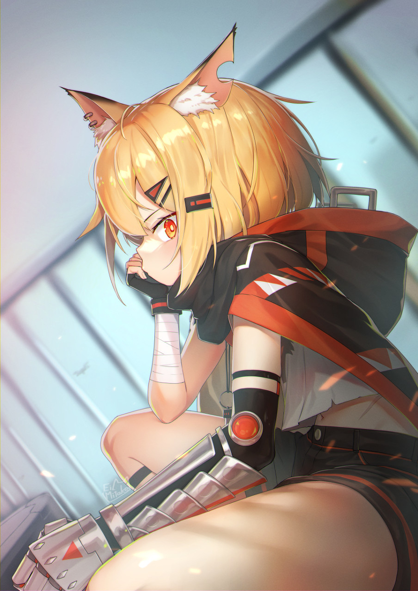 This is a pixiv picture whose title is 🦊.