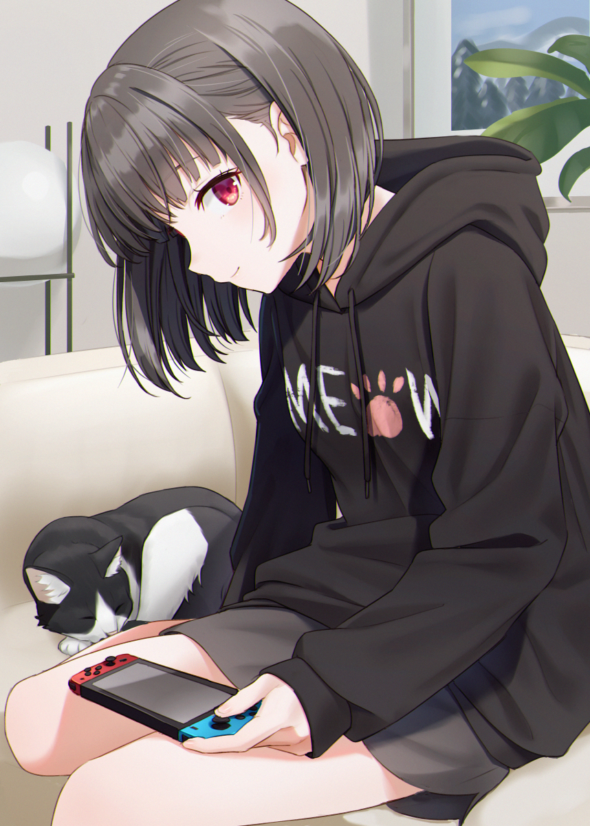 This is a pixiv picture whose title is 🐈.