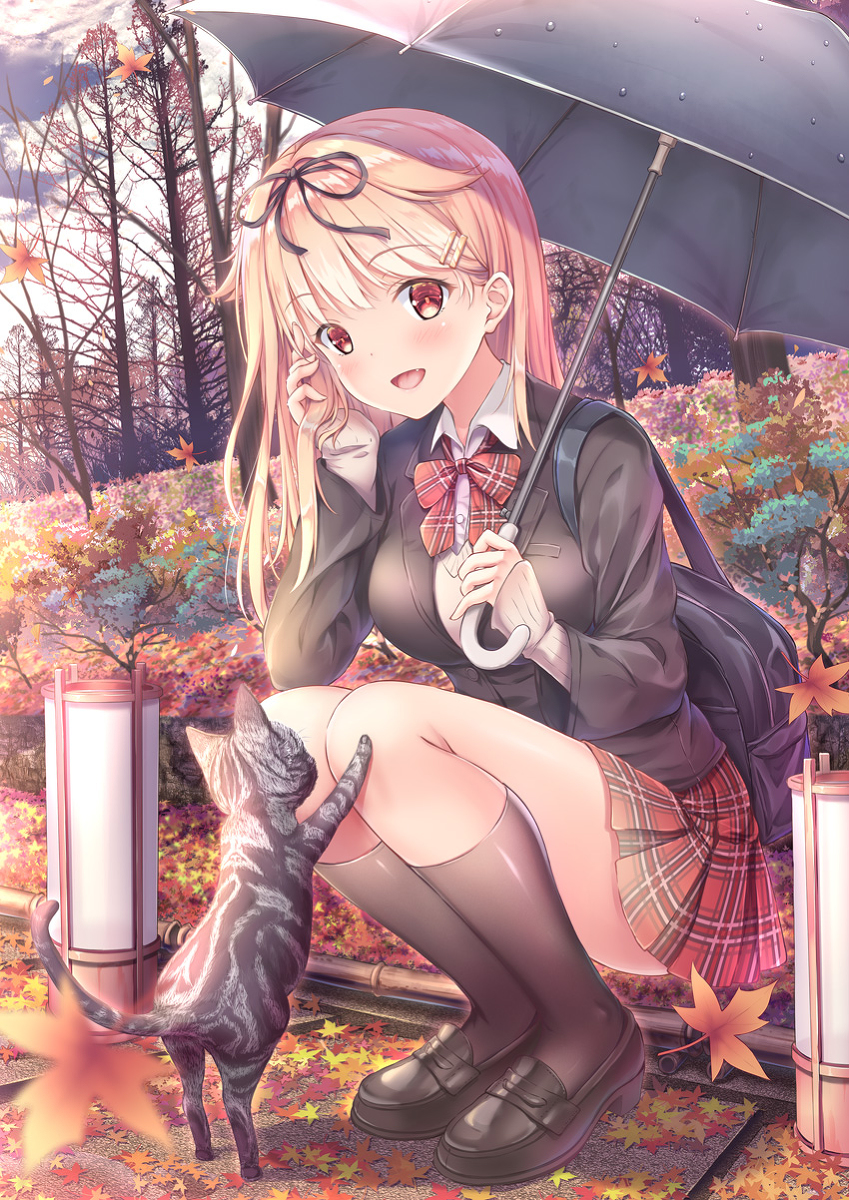 This is a pixiv picture whose title is 夕立とねこちゃん.