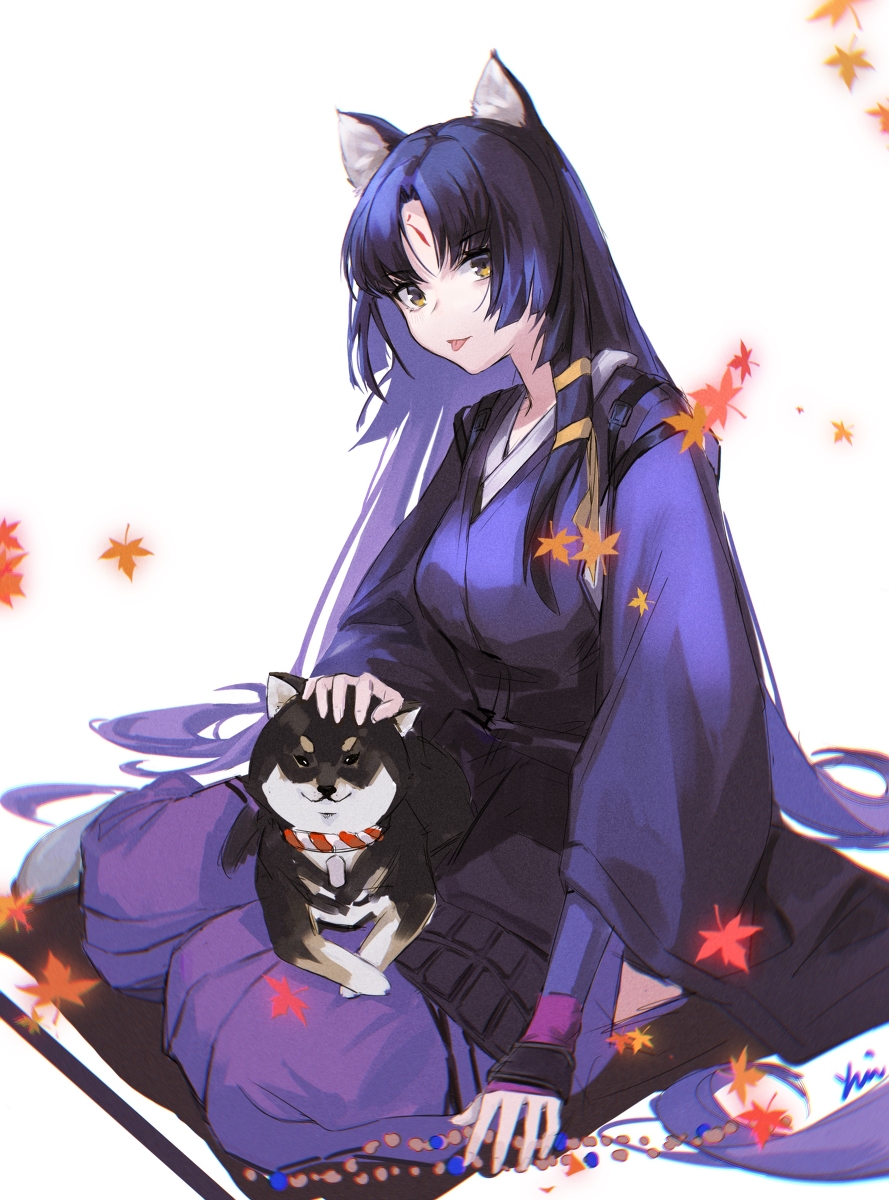 This is a pixiv picture whose title is 略.